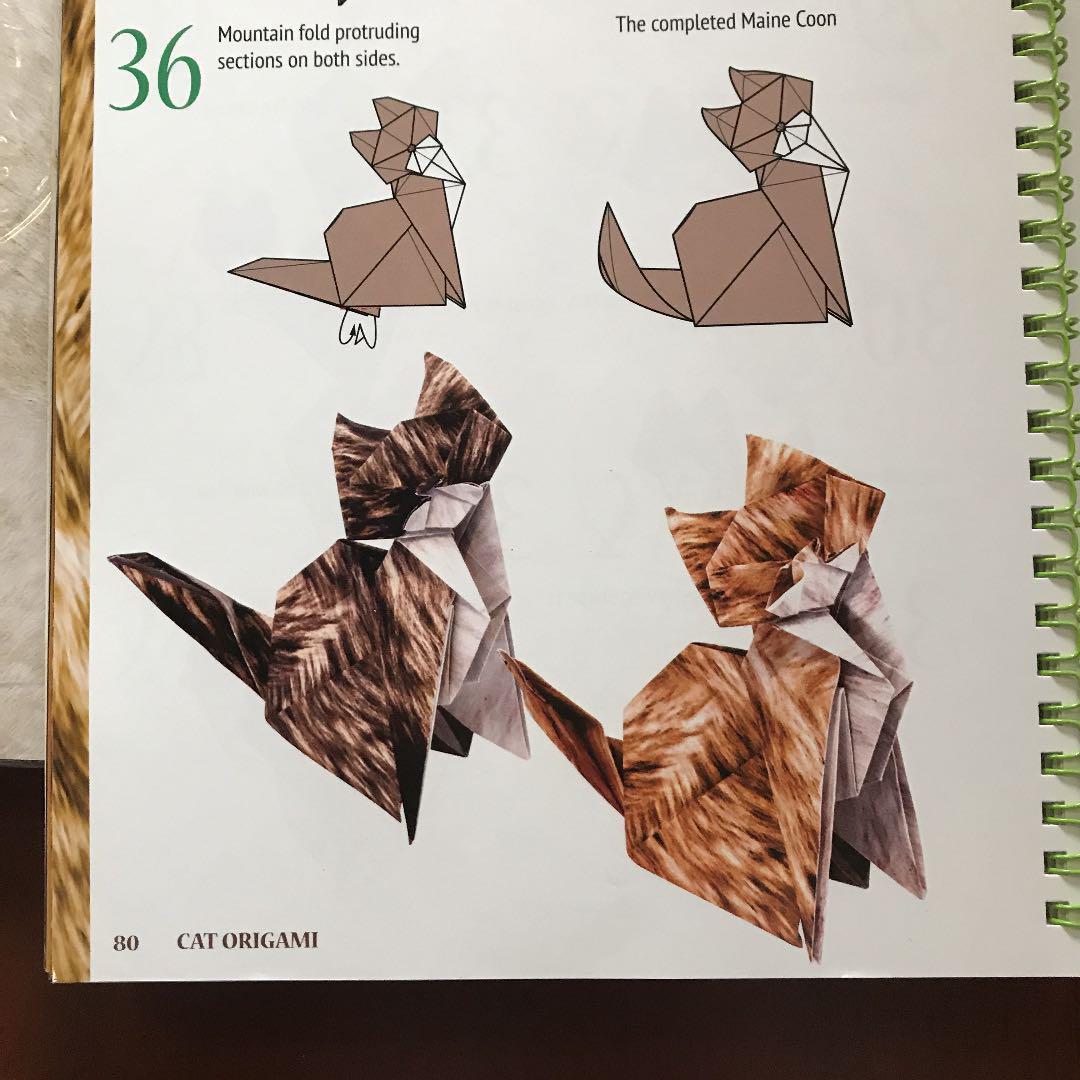 Paypayフリマ パッケージなし Cat Origami 折り紙 100枚入 デザイナー 猫 10種 英語 解説書 ねこ ネコ オリガミ おりがみ ラグドール マンチカン 洋書 Paypayフリマ パッケージなし Cat Origami 折り紙 100枚入 デザイナー 猫 10種 英語 解説書 ねこ ネコ オリガミ おりがみ ラグドール マンチカン 洋書