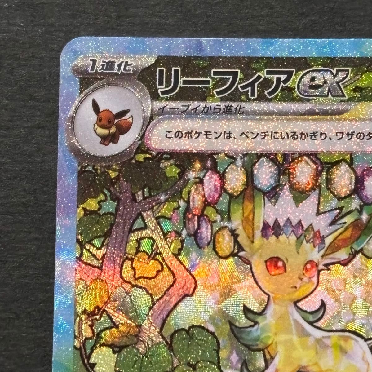ポケモンカード リーフィアex sar|Yahoo!フリマ(旧PayPayフリマ) ポケモンカード リーフィアex sar|Yahoo!フリマ(旧PayPayフリマ)