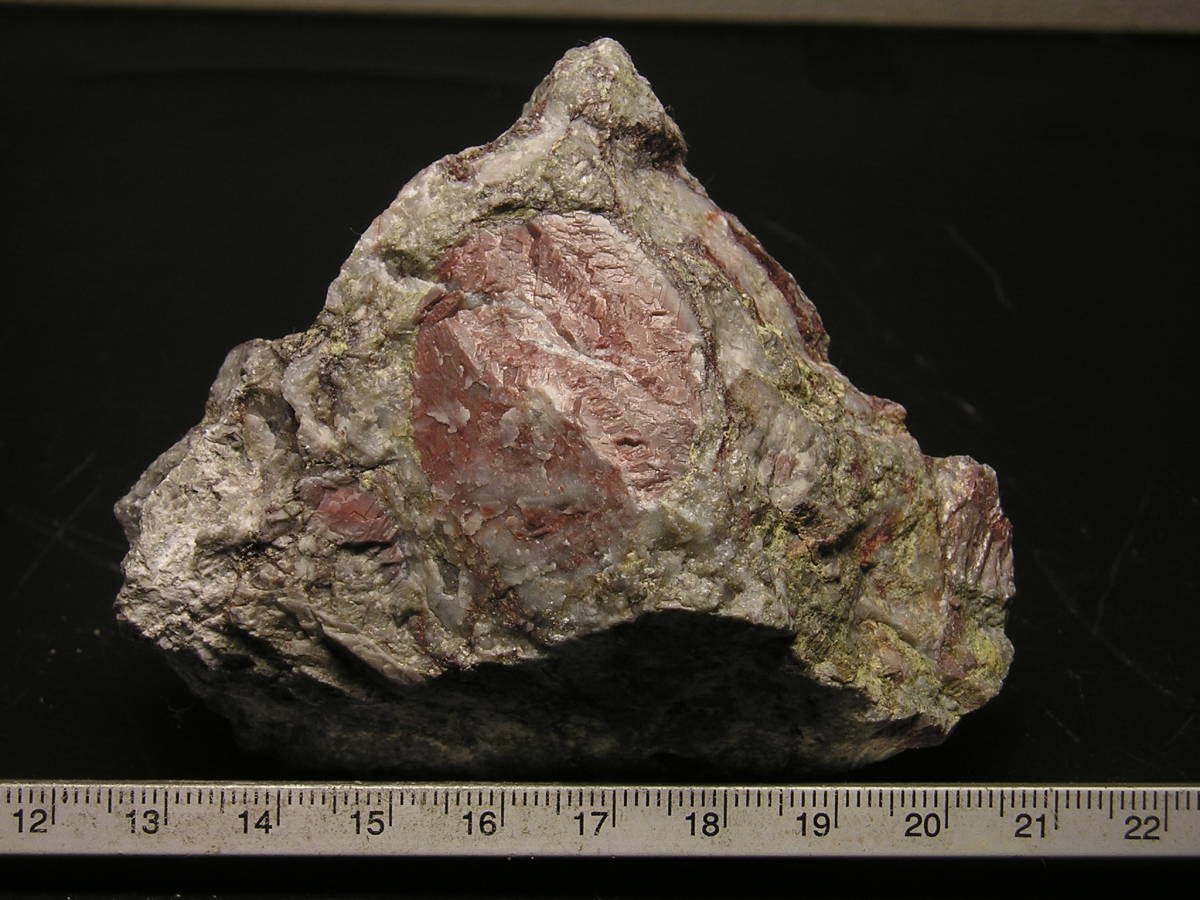 ★レア　玄武岩の影響で色づいた大きい赤いウミユリ化石　１３０ｇ_画像2
