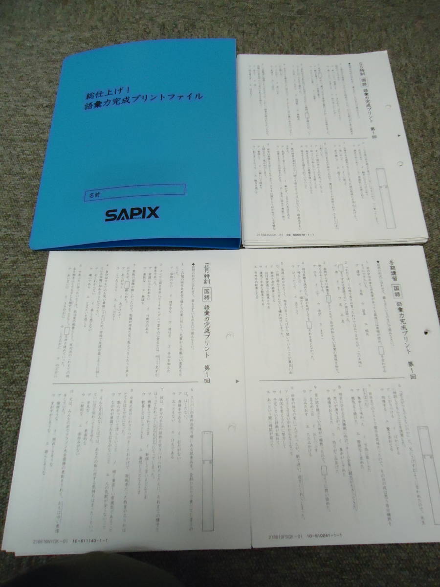 ★サピックス★　国語　 語彙力完成プリント（ファイル付き）（SS特訓14回/冬期講習6回/正月特訓4回）2018年度　書き込み小　良品