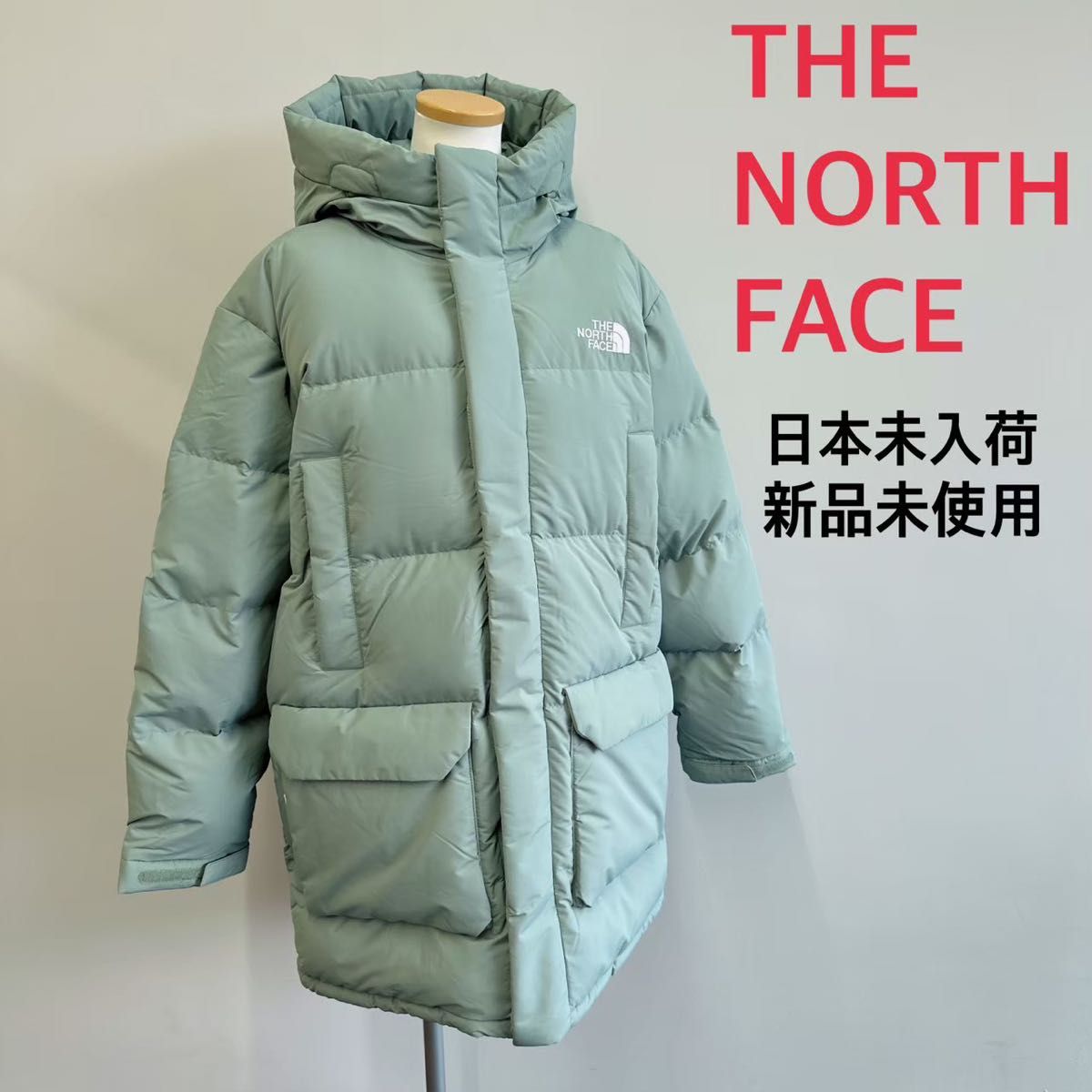 新品未使用品日本未入荷ノースフェイスダウンミントグリーン 新品未使用品日本未入荷ノースフェイスダウンミントグリーン