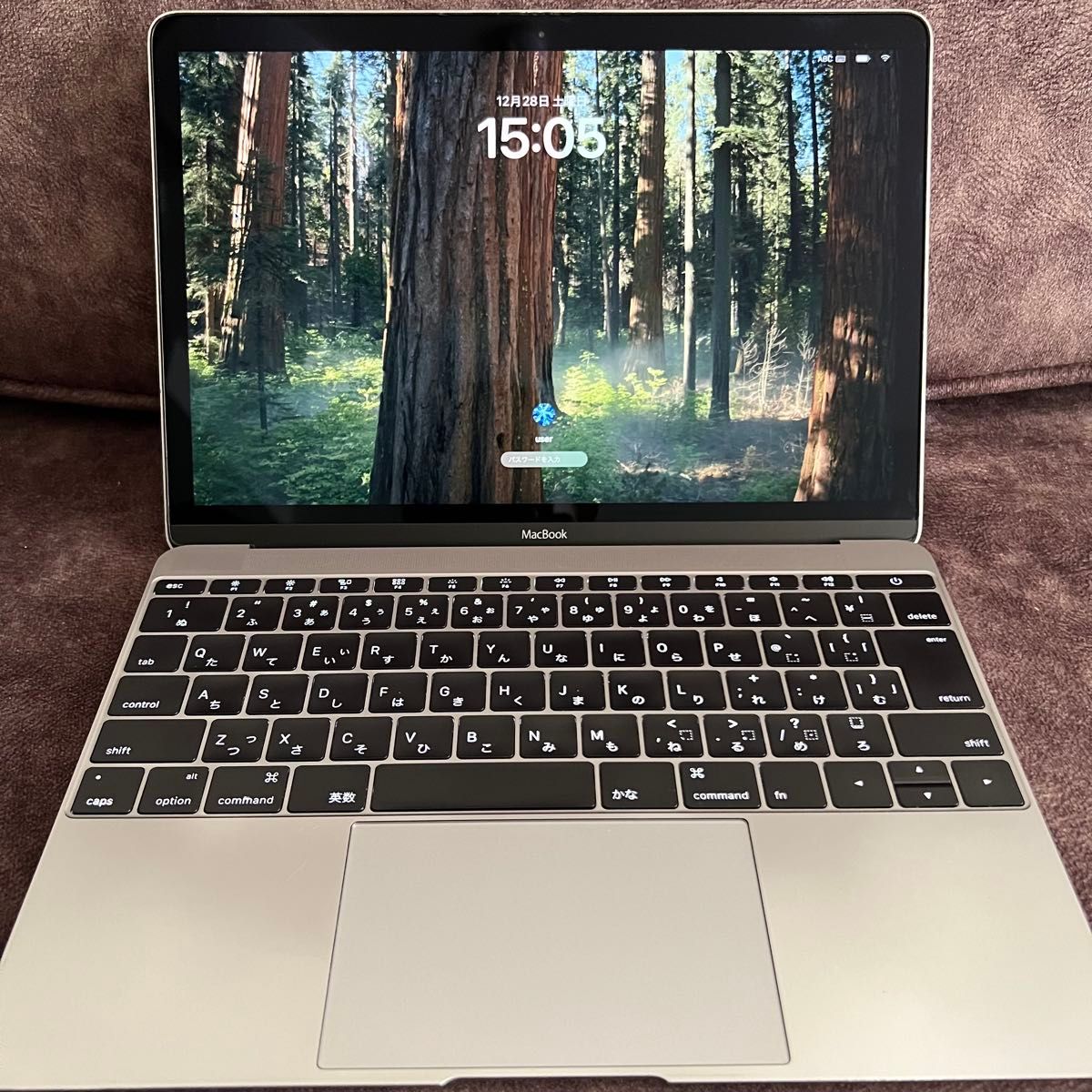 MacBook 12インチ 最新OSインストール済み Microsoft Office MacBook 12インチ 最新OSインストール済み Microsoft Office