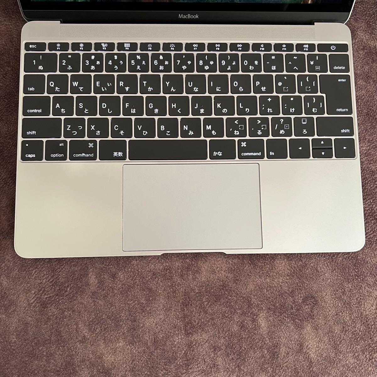 MacBook 12インチ 最新OSインストール済み Microsoft Office MacBook 12インチ 最新OSインストール済み Microsoft Office