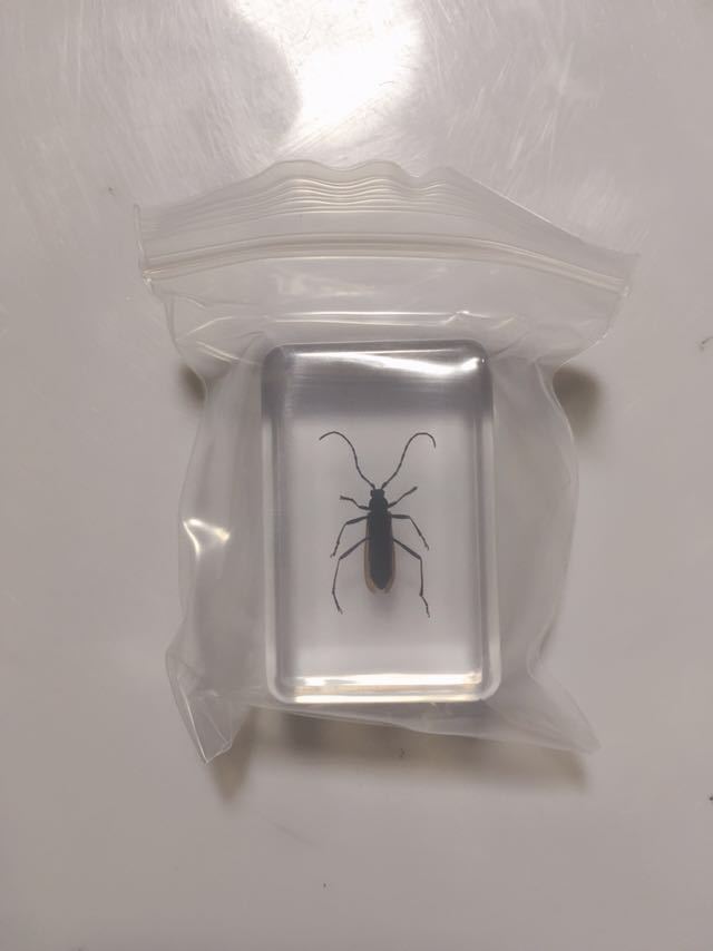 ガチャガチャ 虫の値段と価格推移は 33件の売買情報を集計したガチャガチャ 虫の価格や価値の推移データを公開