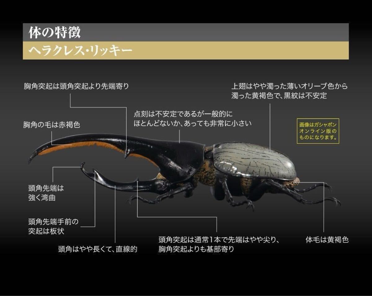 いきもの大図鑑アドバンス ヘラクレスオオカブト ディスプレイ いきもの大図鑑アドバンス ヘラクレスオオカブト ディスプレイ