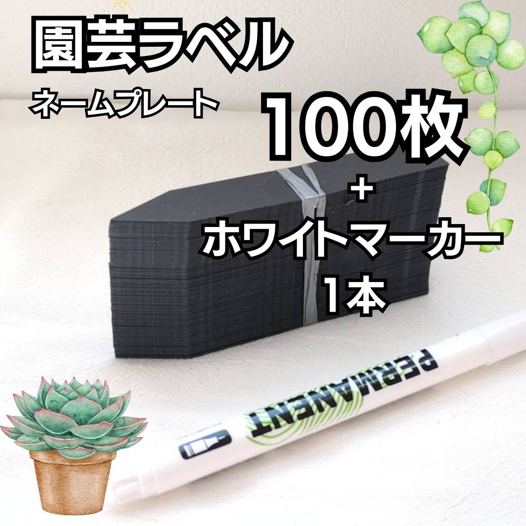  gardening label nameplate black 100 sheets name . nameplate succulent plant flower . pot field flower vegetable seedling plant name eyes seal stick plastic 