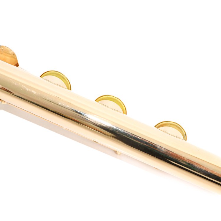 WIDTH=700