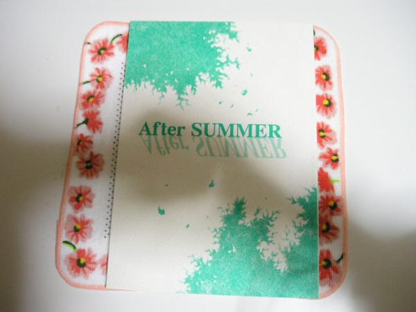 【オリジナル同人誌】After SUMMER～篠宮＆鈴畑シリーズ～_画像1