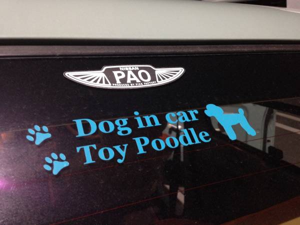 DOG IN CAR（犬が乗ってます）ステッカー　トイプードル　横 　 　　　01_車（リアガラス）への貼り付け例