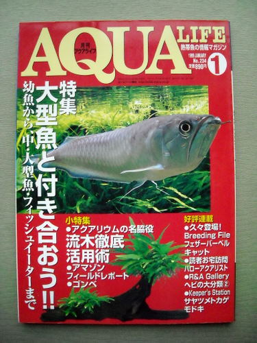魚 月刊アクアライフ 1999/1 大型魚_画像1
