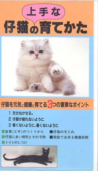 ビデオ『上手な子猫の育てかた』