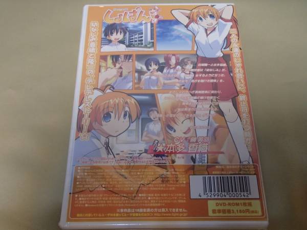 Windows light　しょぱん！