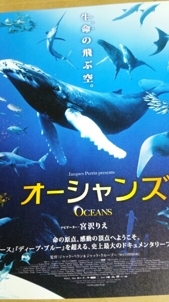 Океаны ◆ Rie Miyazawa ★ Флаер фильмов