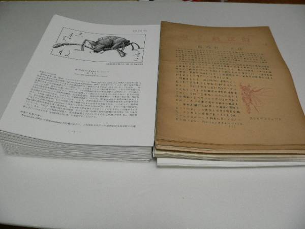 ねじればね (日本甲虫学会) 昆虫 1~125号揃い カミキリ コガネムシ クワガタムシ オサムシ ゴミムシ 自然 ねじればね (日本甲虫学会) 昆虫 1~125号揃い カミキリ コガネムシ クワガタムシ オサムシ ゴミムシ 自然