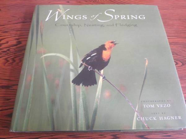 【洋書】Wings of Spring　野鳥　営巣　雛　求愛　狩り　写真