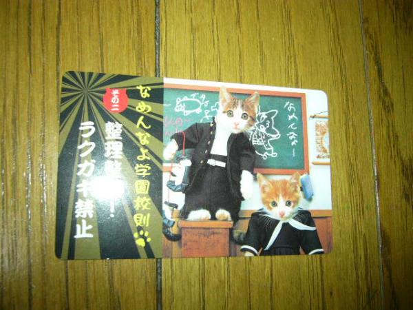 猫　なめ猫　カード　学園法則　生理整頓にラクガキ禁止　可愛い　黒板前　学生服　未使用_画像1