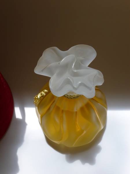 soie ou jamaisアニック グタールanick goutal バカラ瓶100ml★未開封_画像3