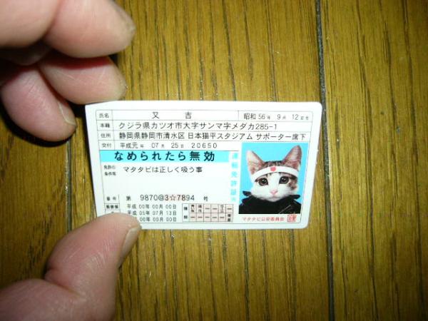 猫　なめ猫　免許証カード　又吉　小さいサイズ　革ジャン姿で凛々しく不良してる　横浜銀蠅を思い出す　バブル世代　裏になめんなよ　文字_小さくて可愛いです/売れてます/同梱可能よ