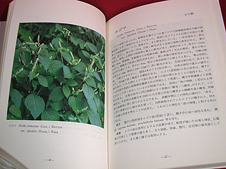 §^^ Kitakyushu plate . mountain medicine for plant magazine /.. one .^^