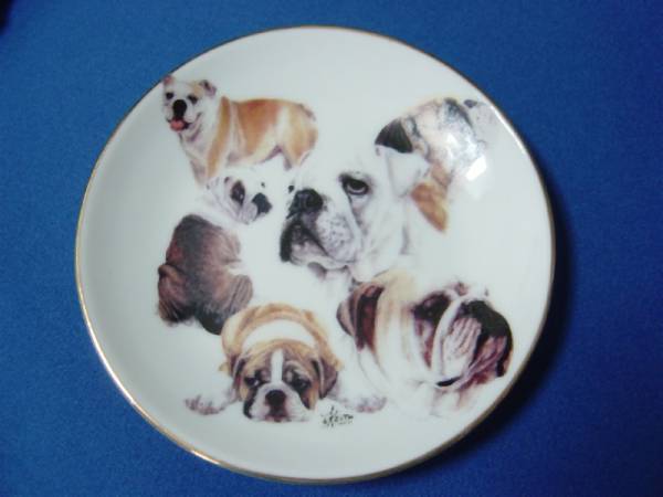 *bru собака Mini plate подставка есть America ..*