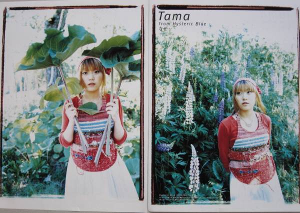 HystericBlue/Tama★ヒステリック・ブルー 切り抜き5ページ_画像1