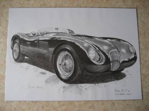  Jaguar (JAGUAR)C type limitation picture *E type *D type 