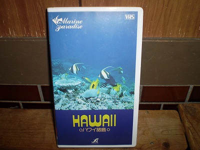 ビデオ ハワイ諸島 ホエールウォッチング 熱帯魚