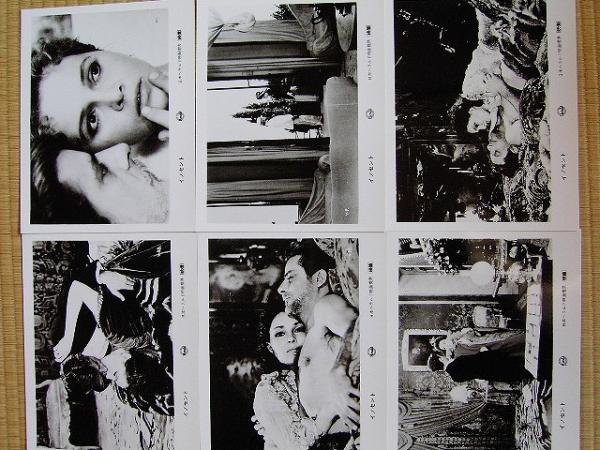 映画スチール写真 「イノセント [未使用１０枚セット]」 ヴィスコンティ 1979