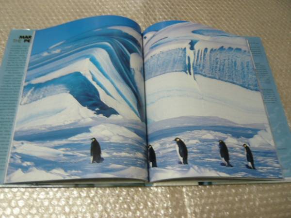  иностранная книга * император пингвин фотоальбом * National geo графика официальный книга