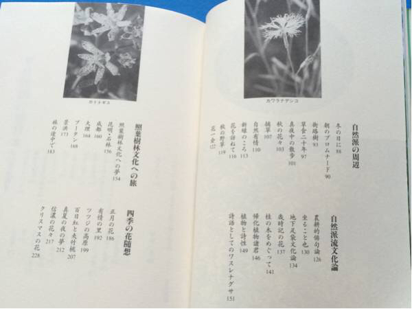 自然派の休日 青柳志解説樹 単行本 初版 帯付き 著者謹(jǐn)呈しおり
