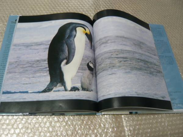 洋書★皇帝ペンギン 寫真集★ナショナルジオグラフィック公式本