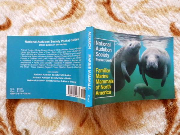 ..　National Audubon Society Pocket Guide to Familiar Marine Mam　海棲哺乳類_画像1