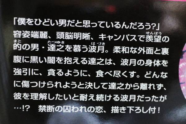 中古本　やまかみ梨由　【　外科医のお気に入り　】【　囁くのはその指　】　BL　即決_【　囁くのはその指　】のあらすじです　