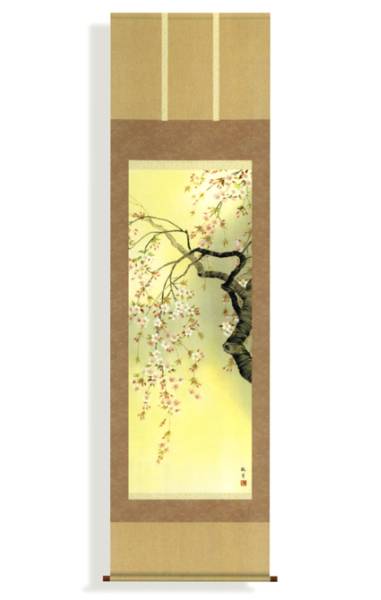  new goods .. axis Sakura flower .. hanging scroll picture Sakura New Year (Spring) Sakura flower 