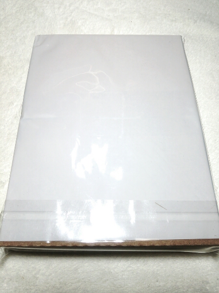 ☆新品レア ストライクウィッチーズ サーニャ 両面枕カバー A☆