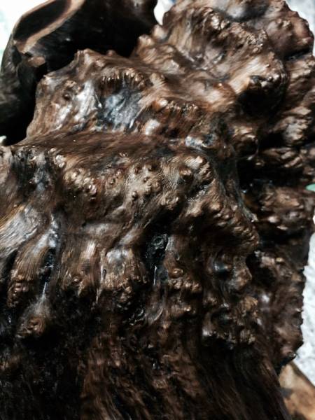 ♪即決 重2.5KG天然特大珍稀品麻梨木瘤材彫刻置物『象』