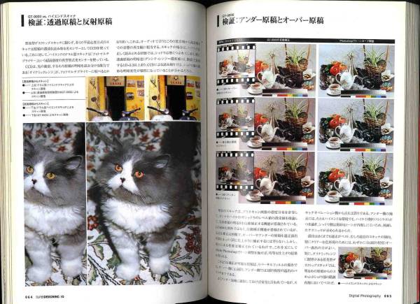 【b0431】95.3.20 スーパーデザイニング／プロフェッショナルDTPとマルチメディア、...