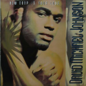 $ DAVID MICHAEL JOHNSON / HOW DEEP IS YOUR LOVE ( AQ 0118 ) YYY265-3060-5-14 ビージーズ 名曲をハウス・カバー！ _画像1