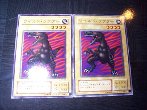 遊戯王　カード　PG-08　 ワイルド・ラプター　 ２枚_画像1