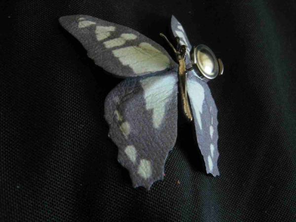 *TOBQUATA* real . butterfly brooch * wire entering * leather * in box *