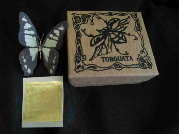 *TOBQUATA* real . butterfly brooch * wire entering * leather * in box *