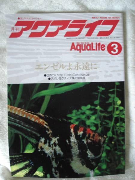 ■中古本　「月刊アクアライフ　1992年　3月号」　熱帯魚■_画像1