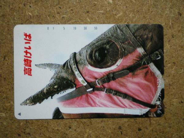U2443* Takasaki ... horse racing telephone card 