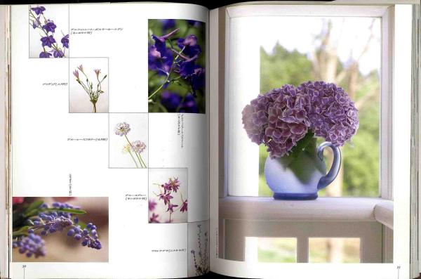 [a9162] flower. life illustrated reference book | bamboo ....