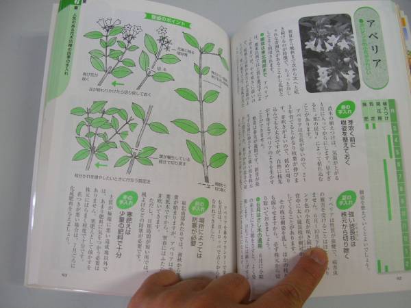 * garden .. explain Hanaki four season. repairs small various subjects *. rice field .* prompt decision 