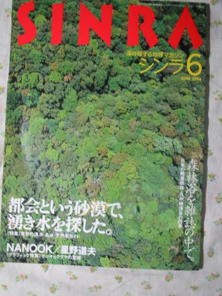 1994.6 シンラ【NANOOK ホッキョクグマの聖域 17P】 星野道夫 ◇_画像1