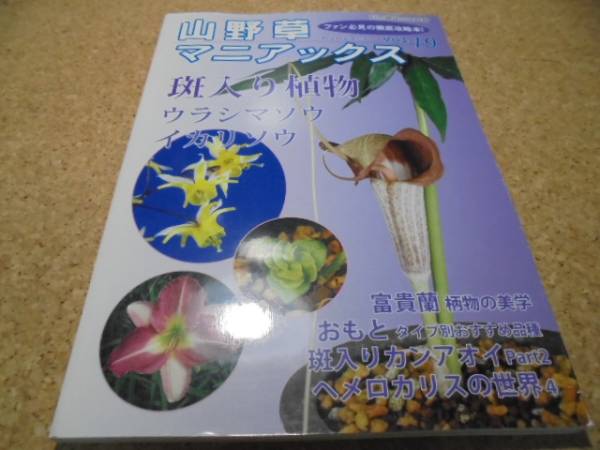 ●●山野草マニアックスvol.19●斑入り植物■ウラシマソウ●_画像1