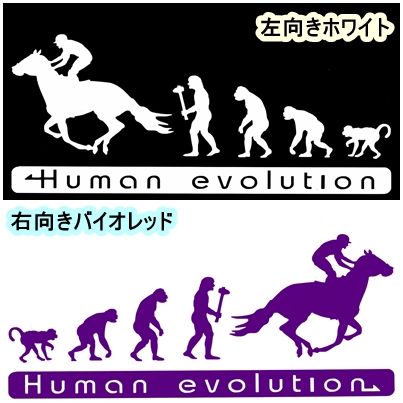 人類の進化 30cm【競馬・乗馬編】ステッカー1 馬券J1ダービー_画像1