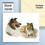 * collie sable greeting card *