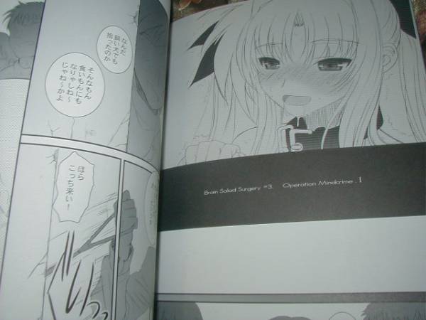+f ディエップ工房『FATE FIRE WITH FIRE 2』なのは フェイト